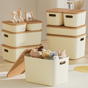 Storage baskets with lid