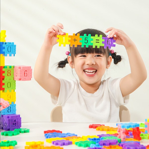 Plastic assembly building blocks