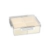 Square compartmented fruit plates