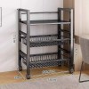Carbon Steel Shelves